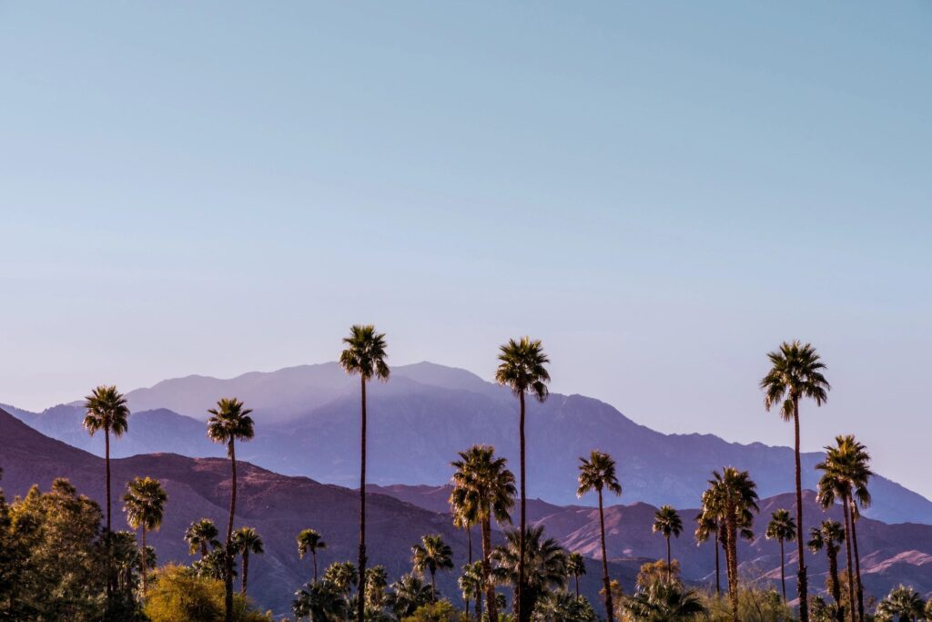 Palm Springs Scenic San Jacinto Mountain Landscape