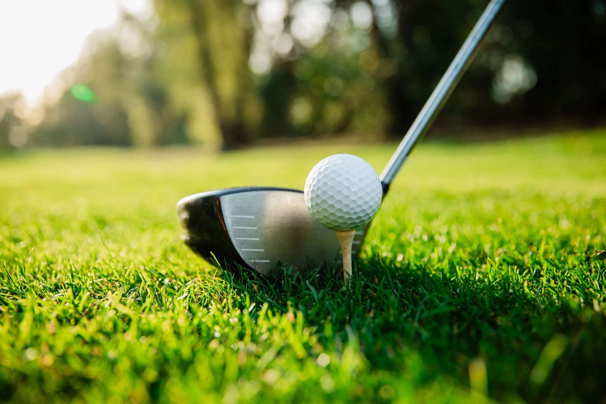 Close-up of a golf ball and club on a putting green