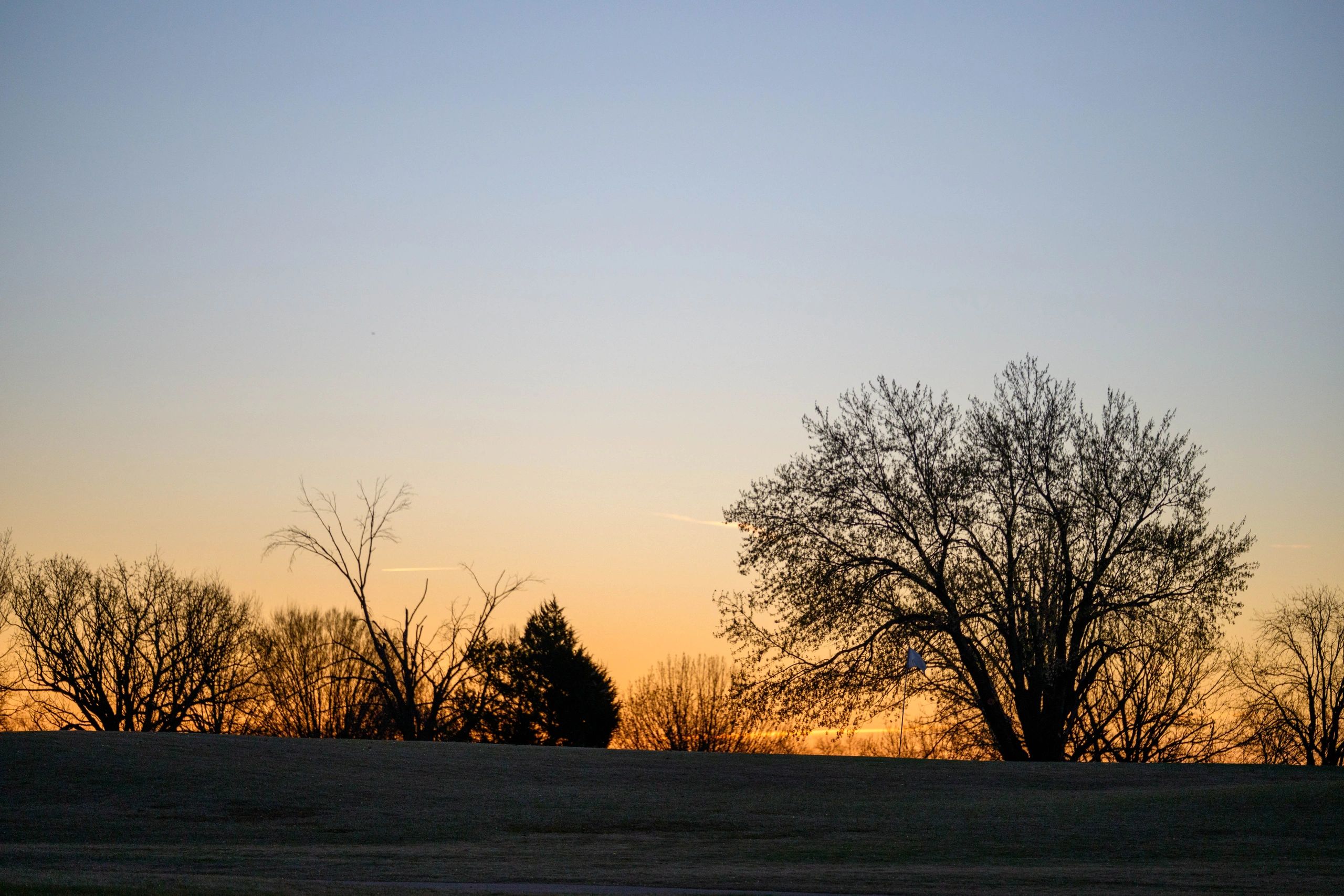 Golf course at sunrise with trees in silhouette
